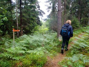 Eine Person geht mit Rucksack auf einem Waldweg.