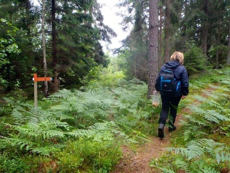 Hiking