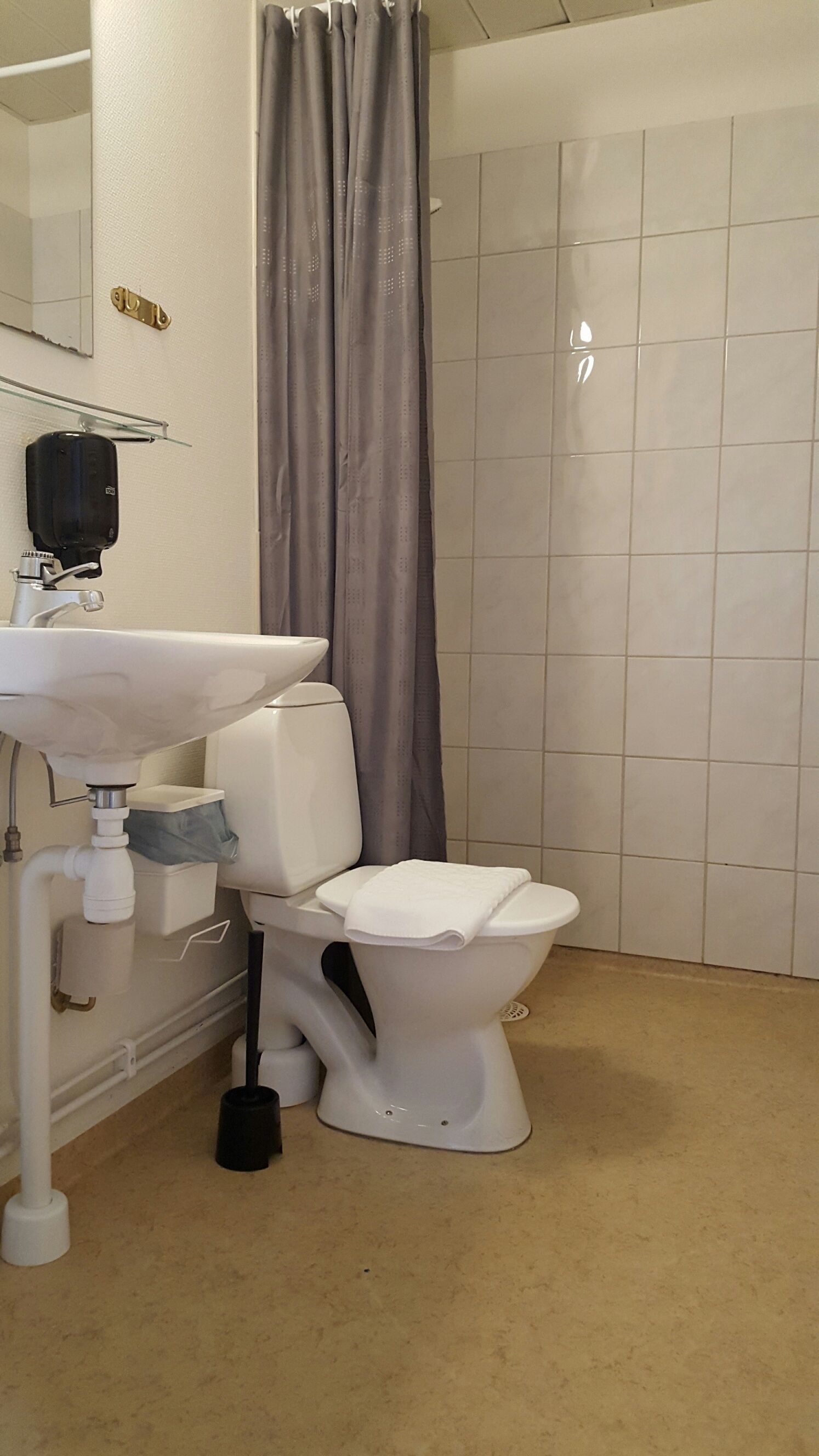 Ett badrum med ett vitt handfat, en toalett och ett duschdraperi.