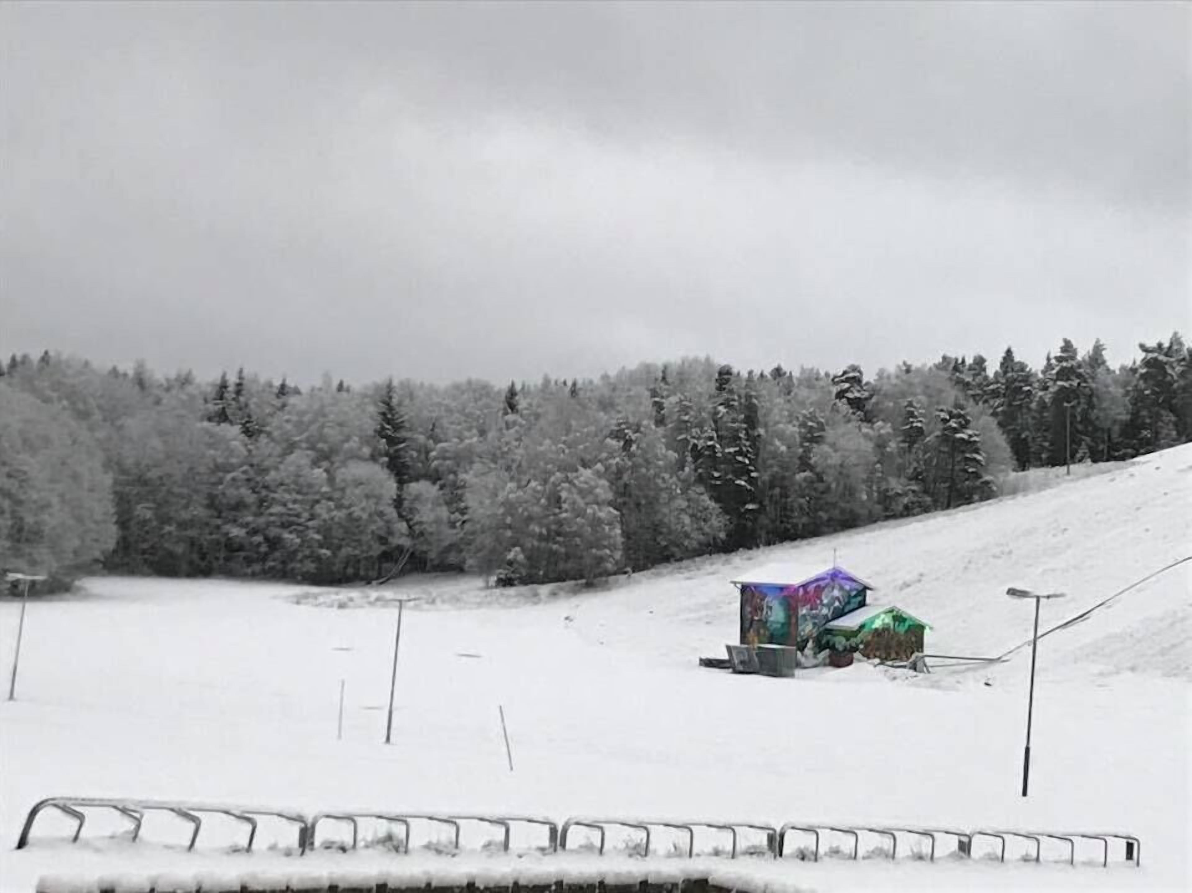滑雪板