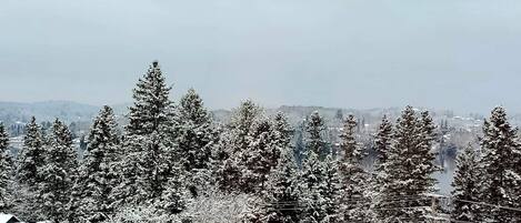 A snowy landscape with dense coniferous trees and a calm lake.