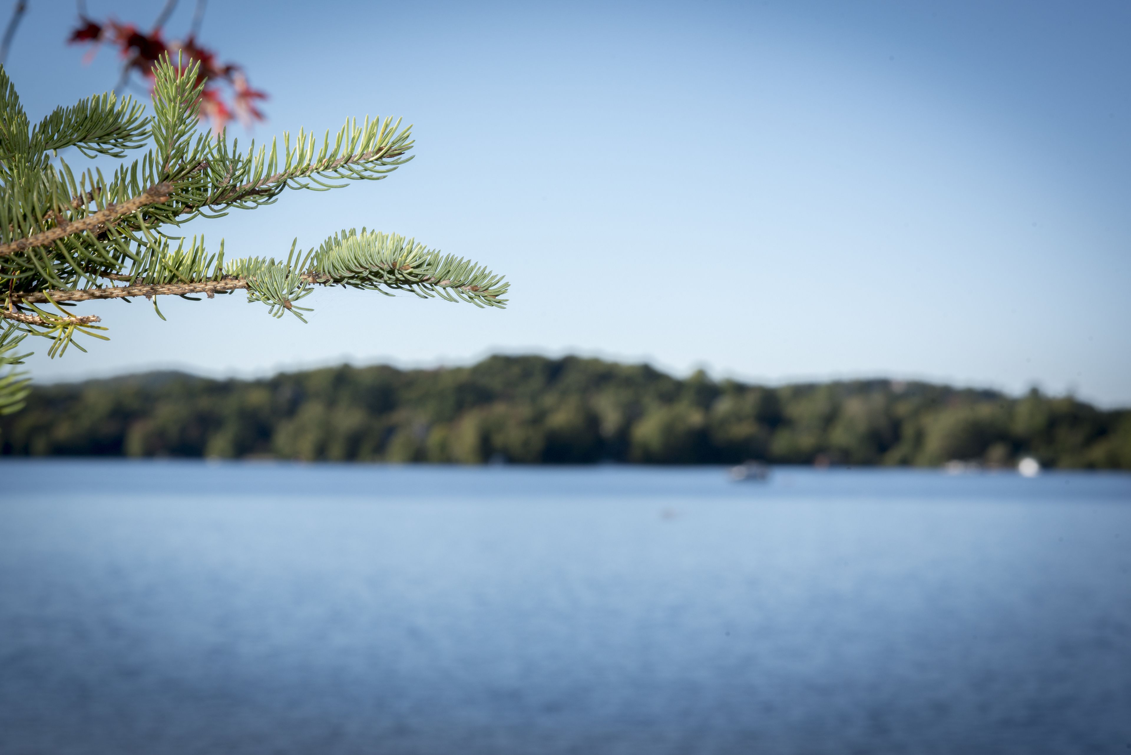 Foto - Auberge Hotel Spa Watel