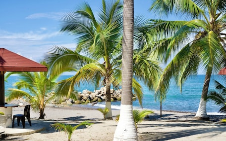 A beach scene with palm trees, a red-roofed structure, and a clear blue sky.