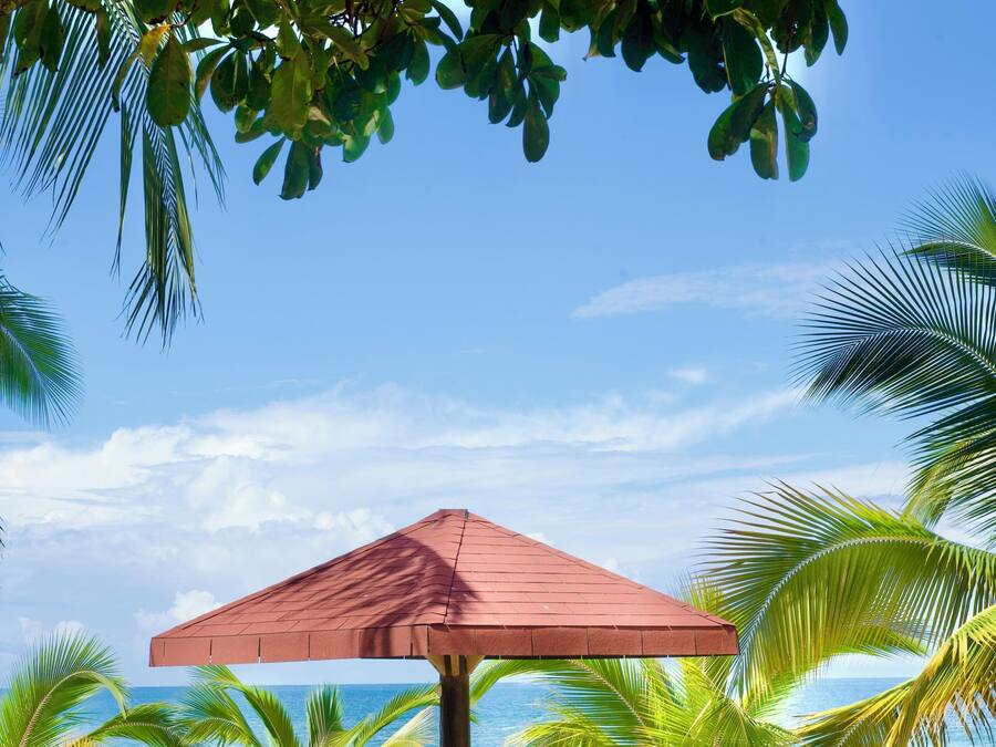 A beachside pavilion with a red roof, surrounded by palm trees and a view of the ocean.