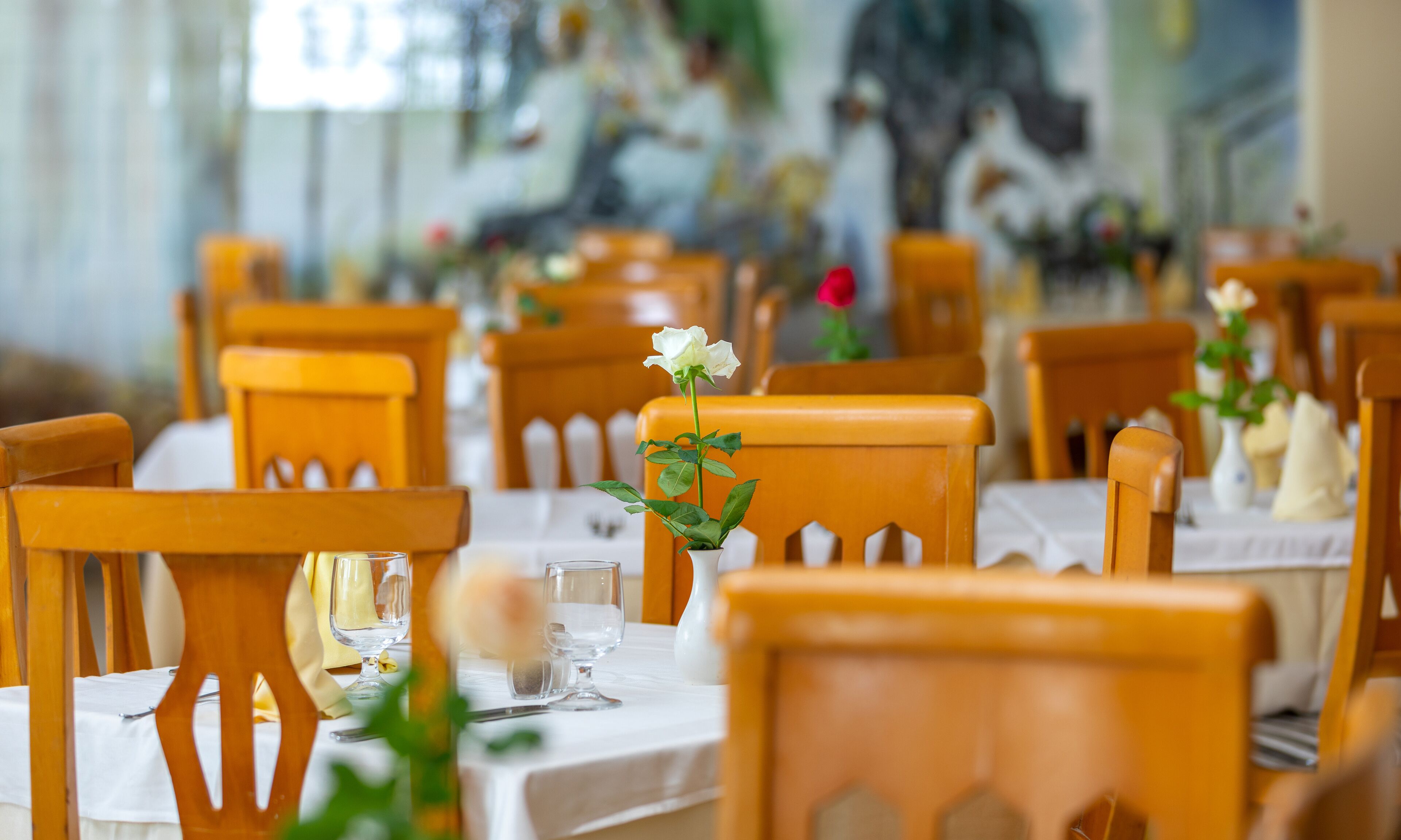 Photo - El Mouradi Port El Kantaoui