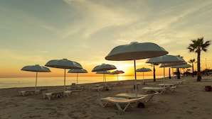 A beach with white umbrellas and lounge chairs, a palm tree, and the ocean in the background. - El Mouradi Port El Kantaoui (Port El Kantaoui)