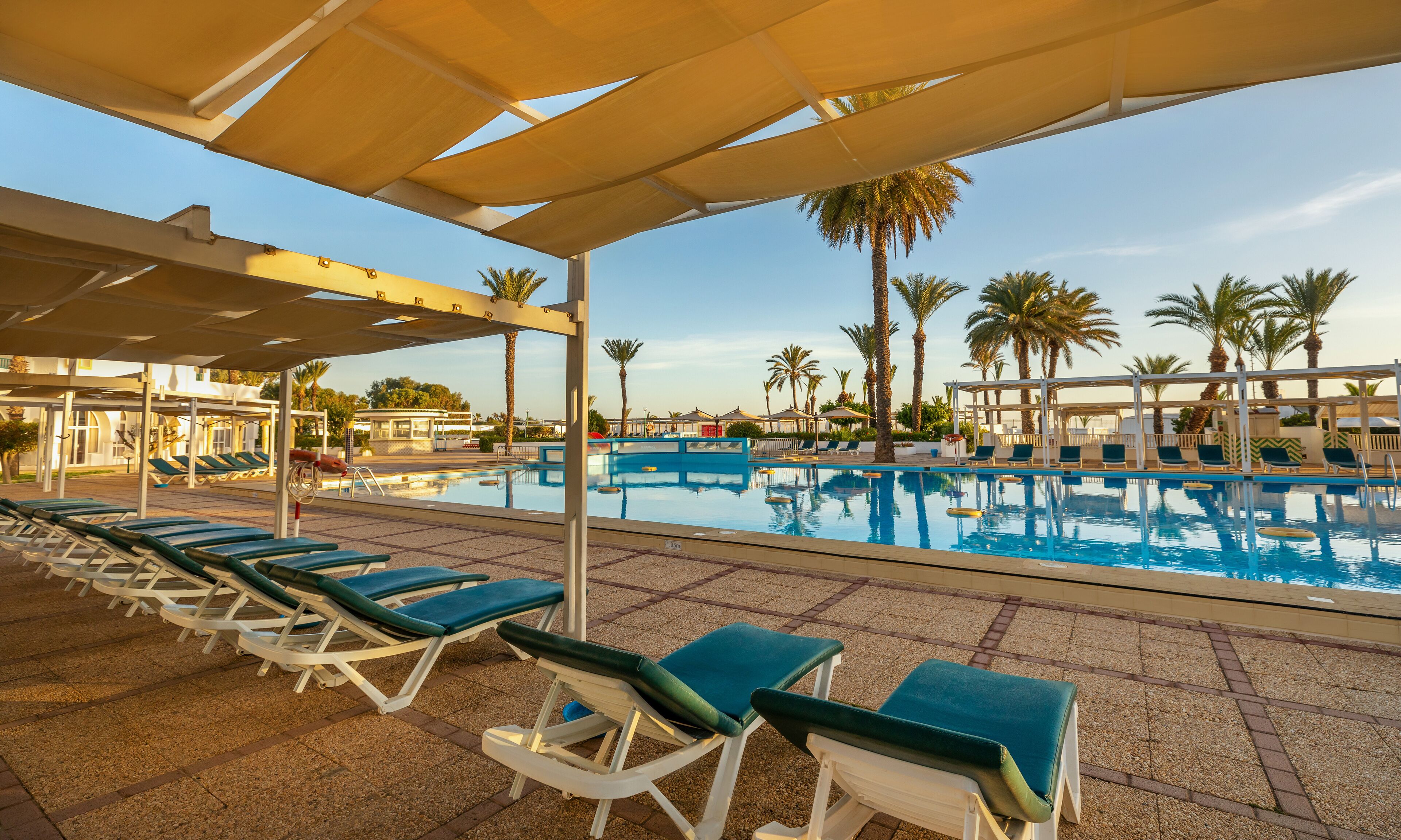 Un espace aménagé au bord de la piscine, avec des chaises longues et des parasols, des palmiers et un ciel dégagé.