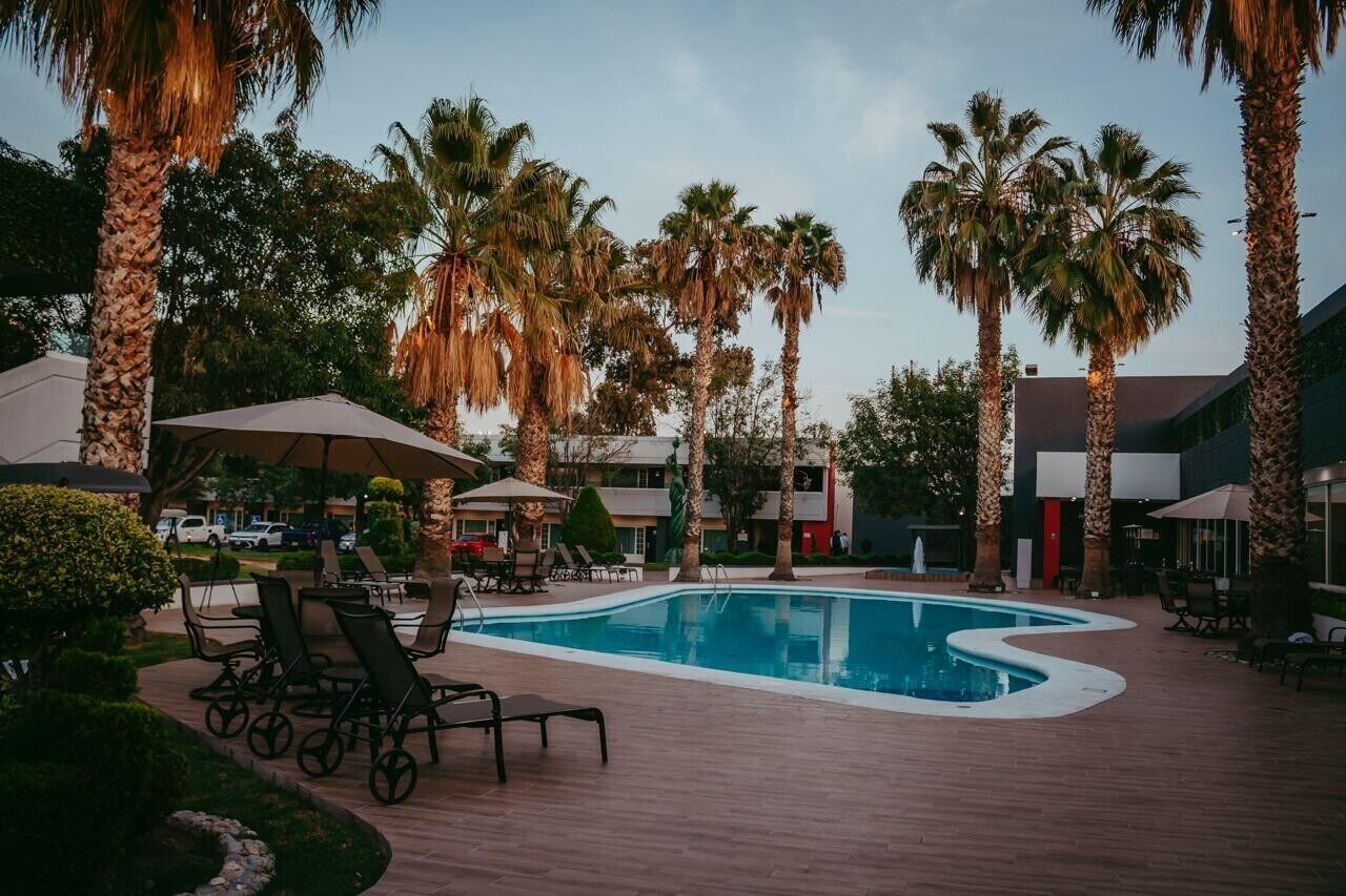 Ein Poolbereich mit Liegestühlen, Palmen und Sonnenschirmen.