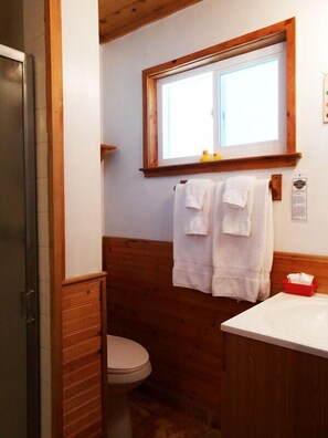Chambre, 1 grand lit (Room 114) | Salle de bain | Douche, articles de toilette (gratuits), séchoir à cheveux, peignoirs