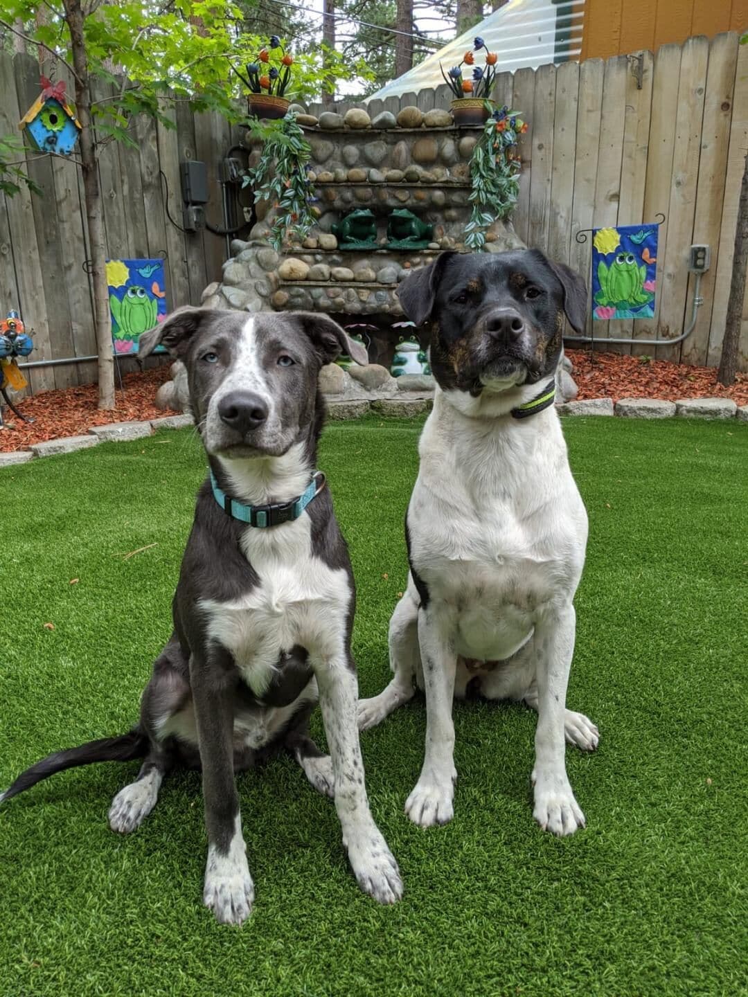 Foto - Fireside Lodge