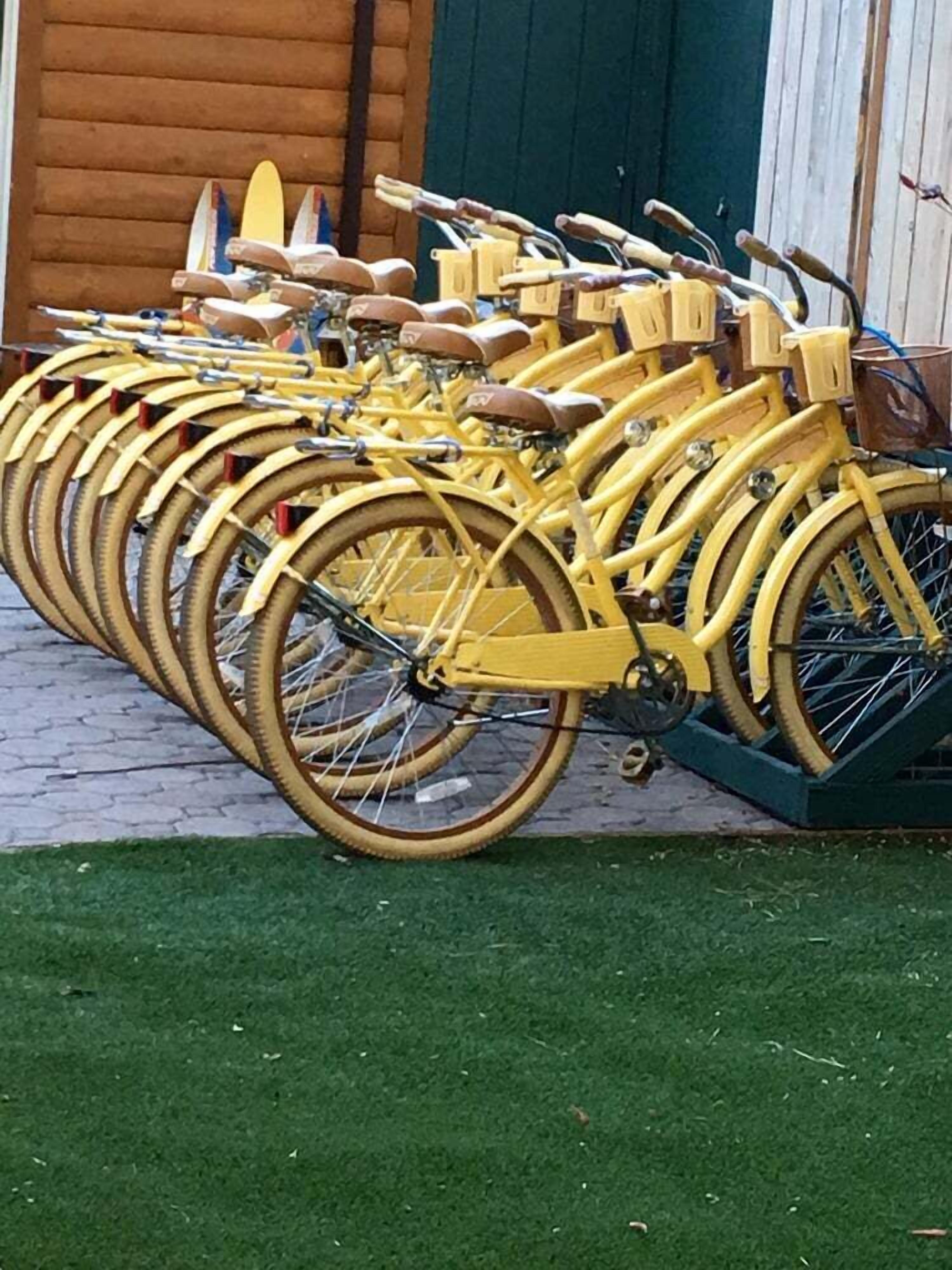Une rangée de vélos jaunes est garée à l’extérieur.