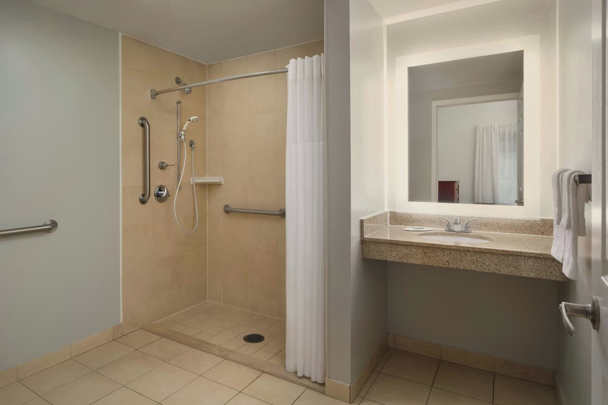 Une salle de bain équipée d’une douche, de barres d’appui, d’un lavabo et d’un miroir.