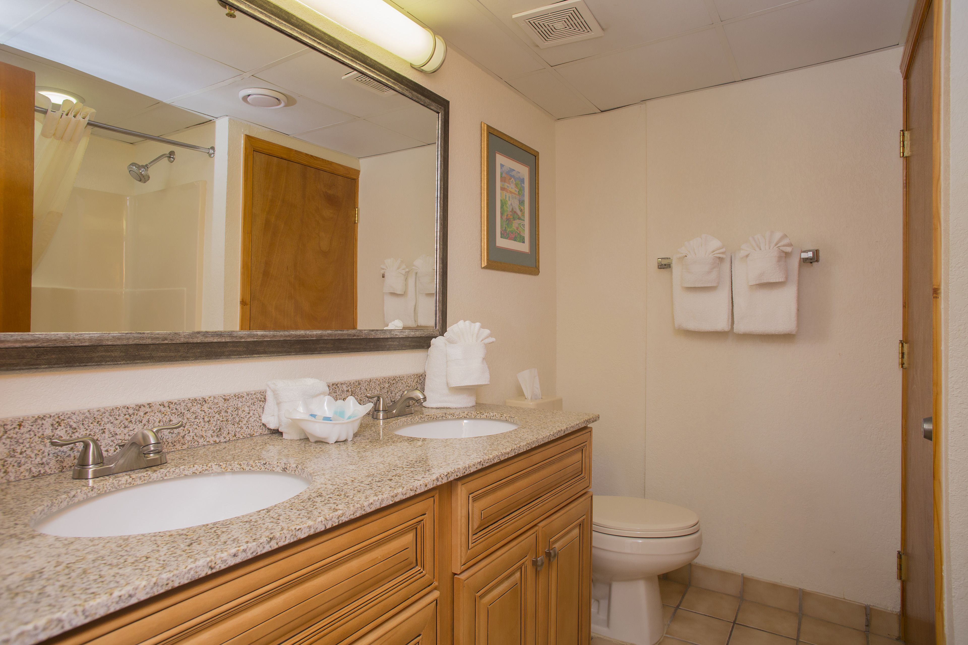 deluxe suite | bathroom | combined shower/bathtub, free toiletries, hair dryer, towels