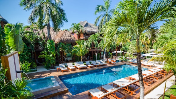 Un área de piscina con sillones de descanso y palmeras.