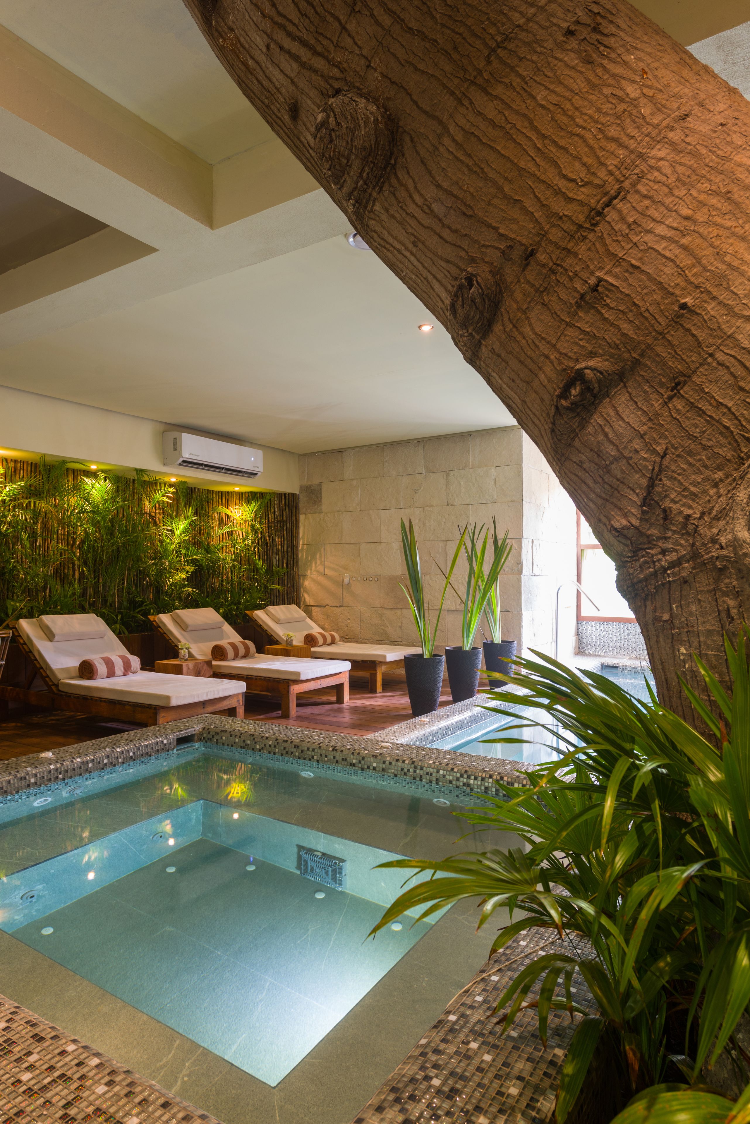 Un área de piscina con sillas de descanso, un árbol y plantas en macetas.