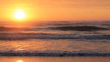 A sunset over the ocean with waves and birds in the sky.