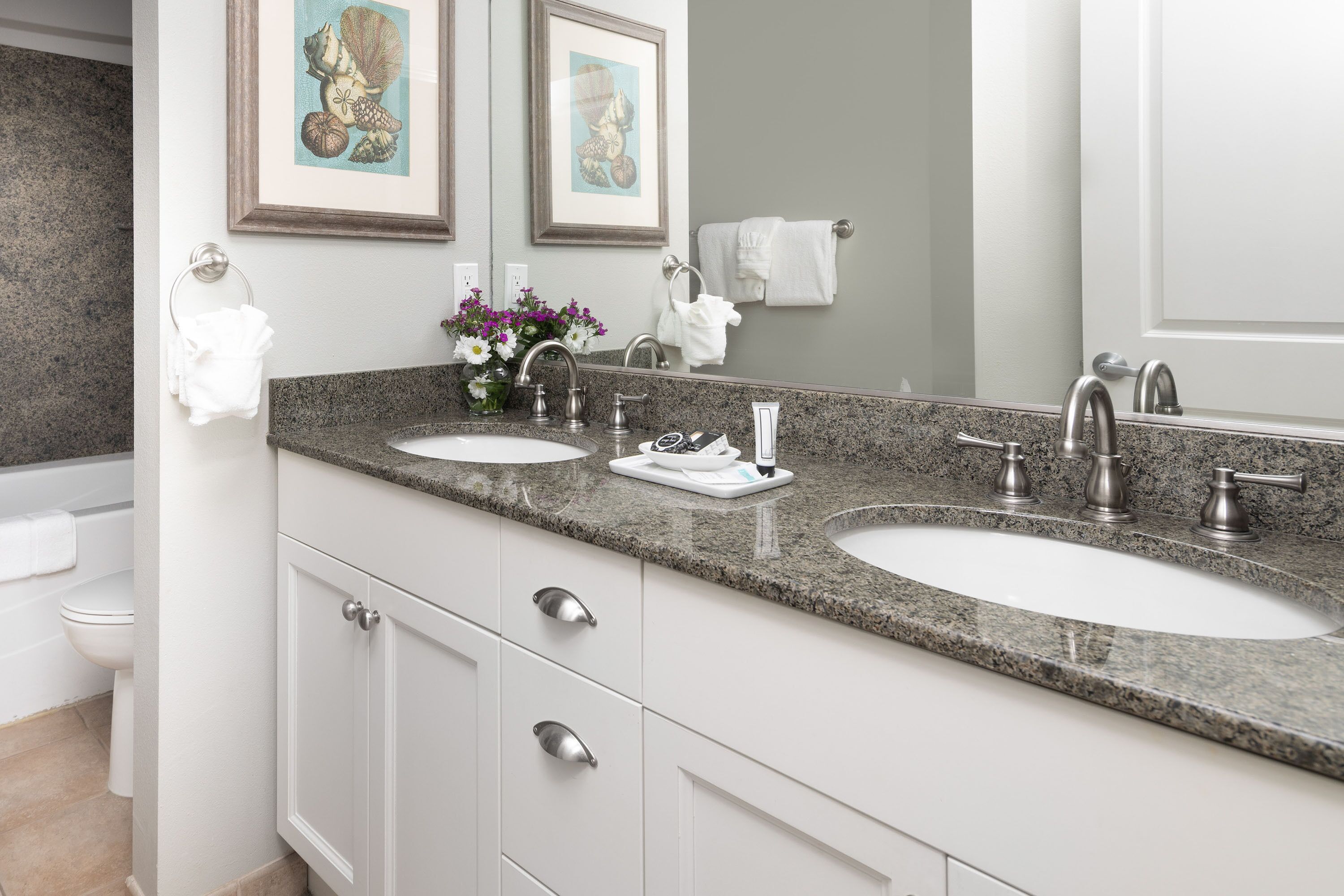 combined shower/bathtub, jetted bath, designer toiletries, hair dryer