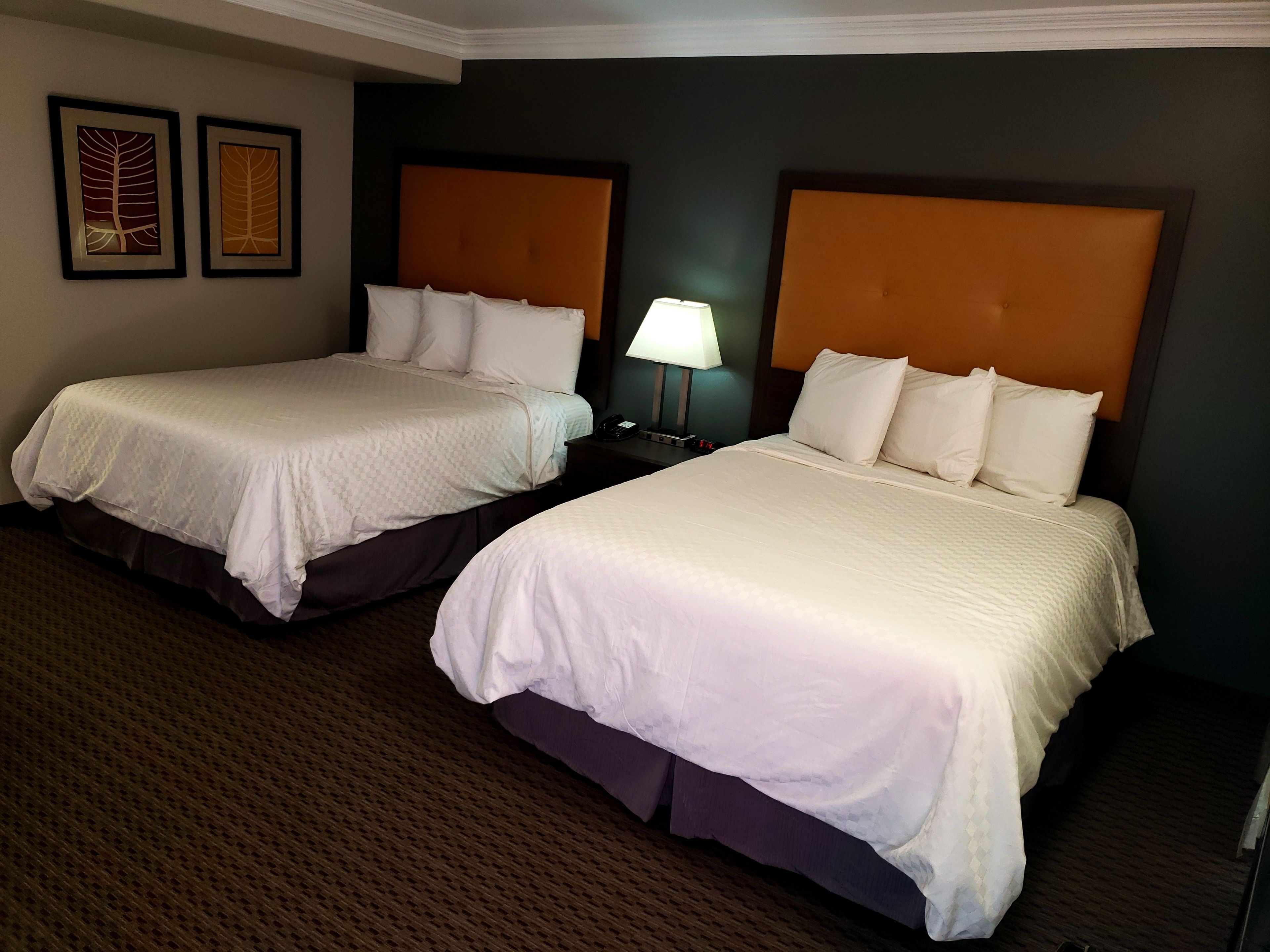 standard double room, 2 queen beds | premium bedding, pillow-top beds, desk, blackout curtains