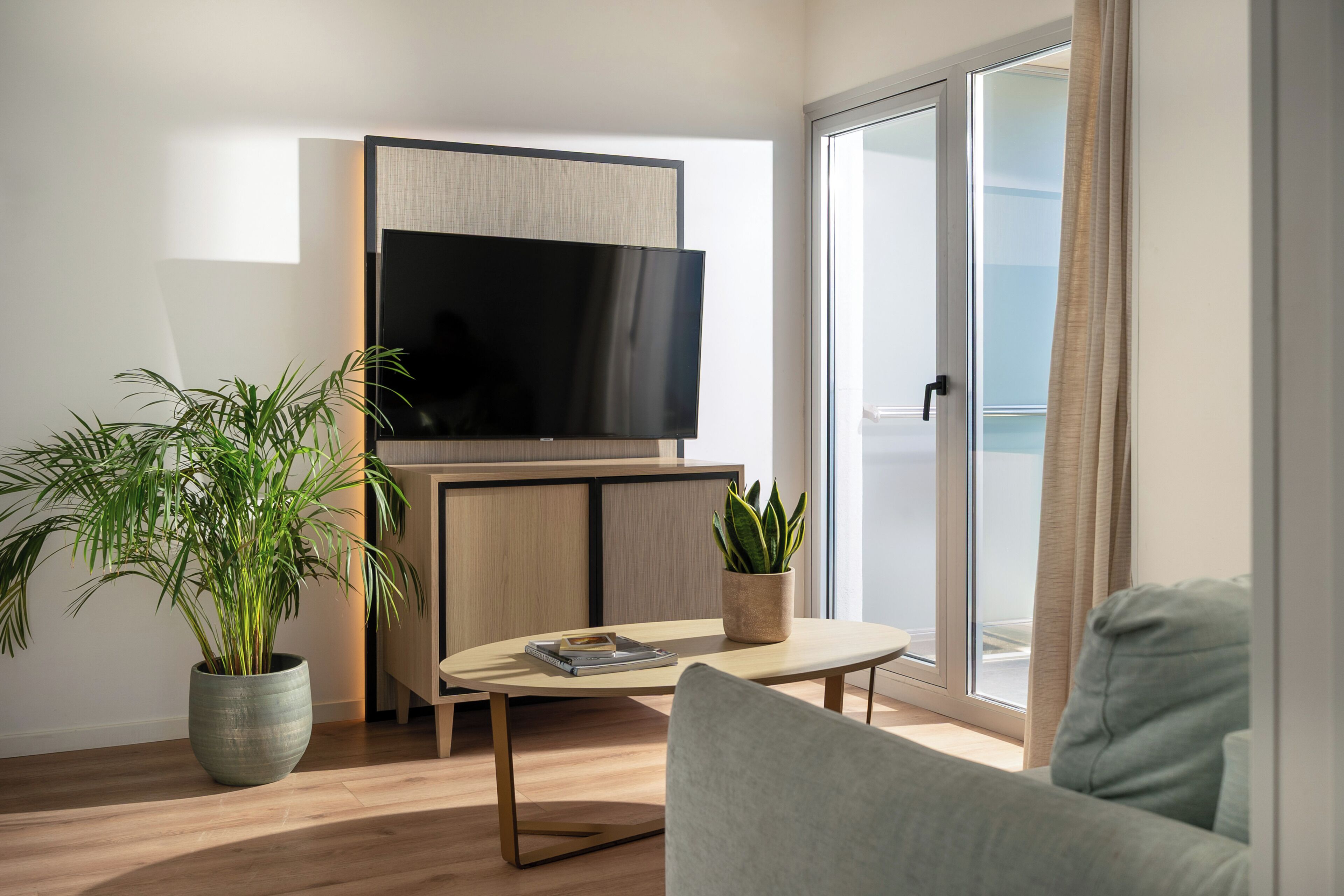 A modern living room with a flat-screen TV, a sofa, a coffee table, and two potted plants.
