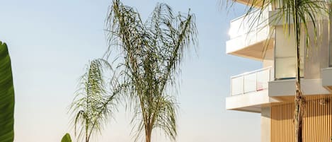 Alberca al aire libre y camastros
