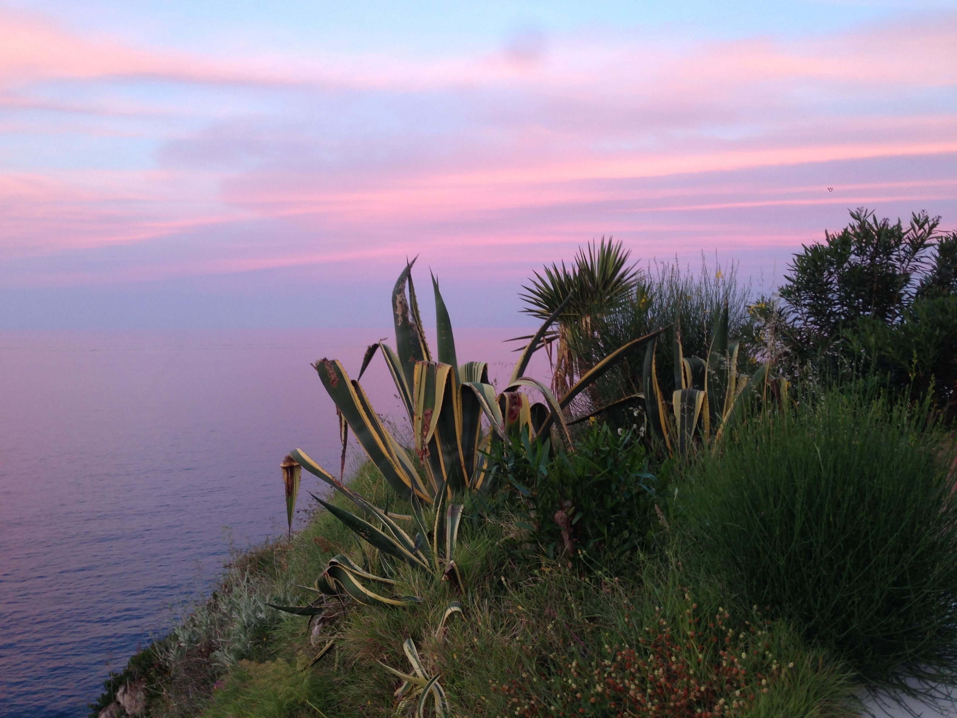 A coastal landscape with vegetation and a view of the sea.