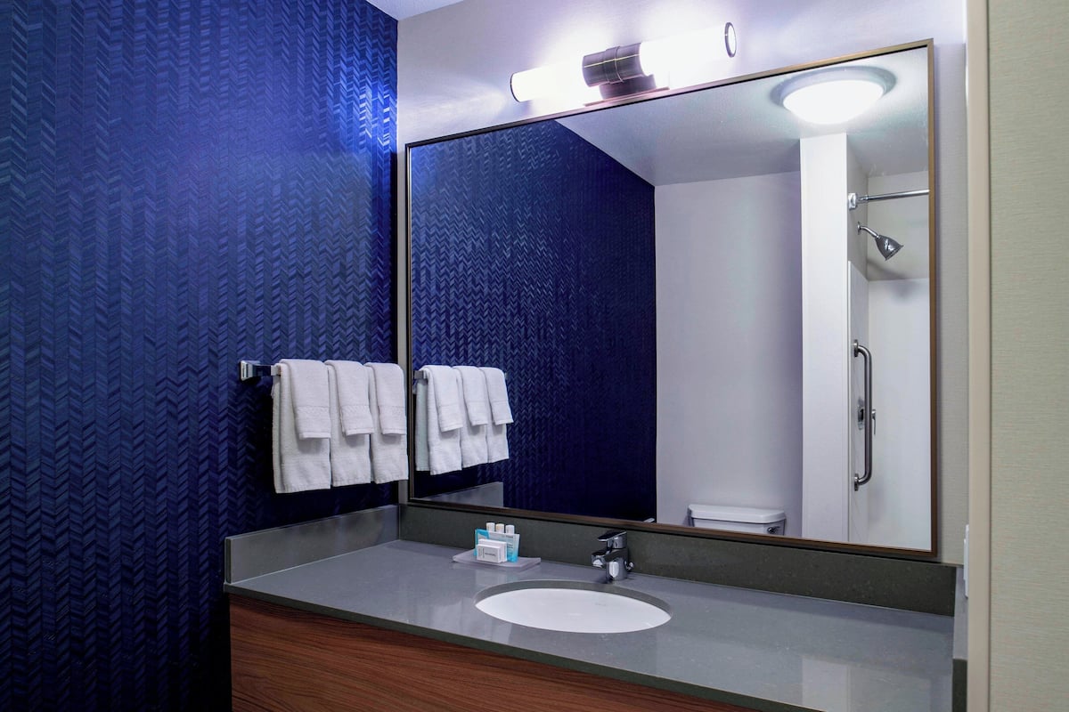 combined shower/bathtub, free toiletries, hair dryer, towels