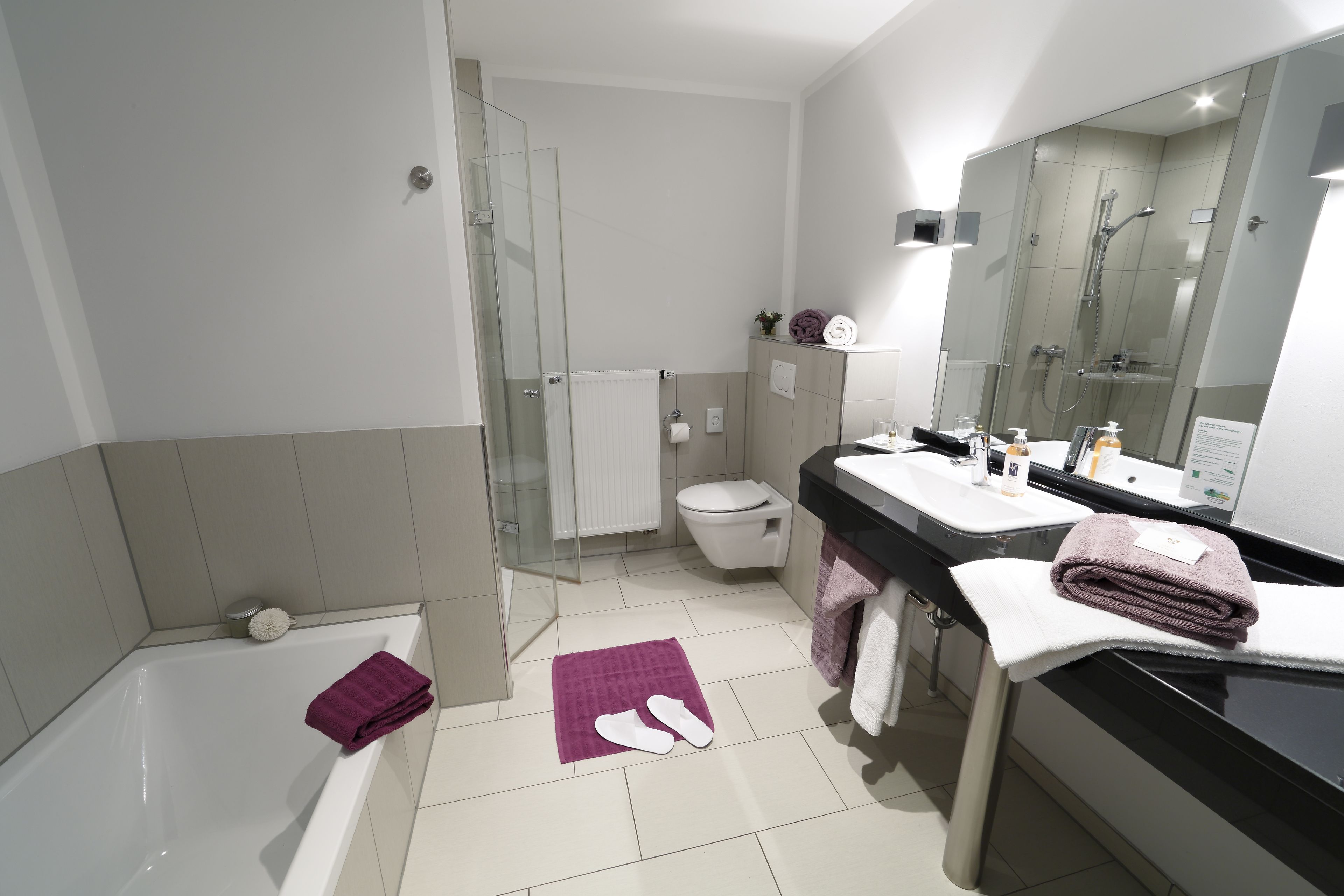 double room | bathroom | free toiletries, hair dryer, towels