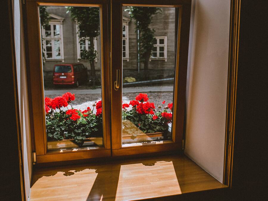 A wooden-framed window with a view of red flowers and a red car outside.