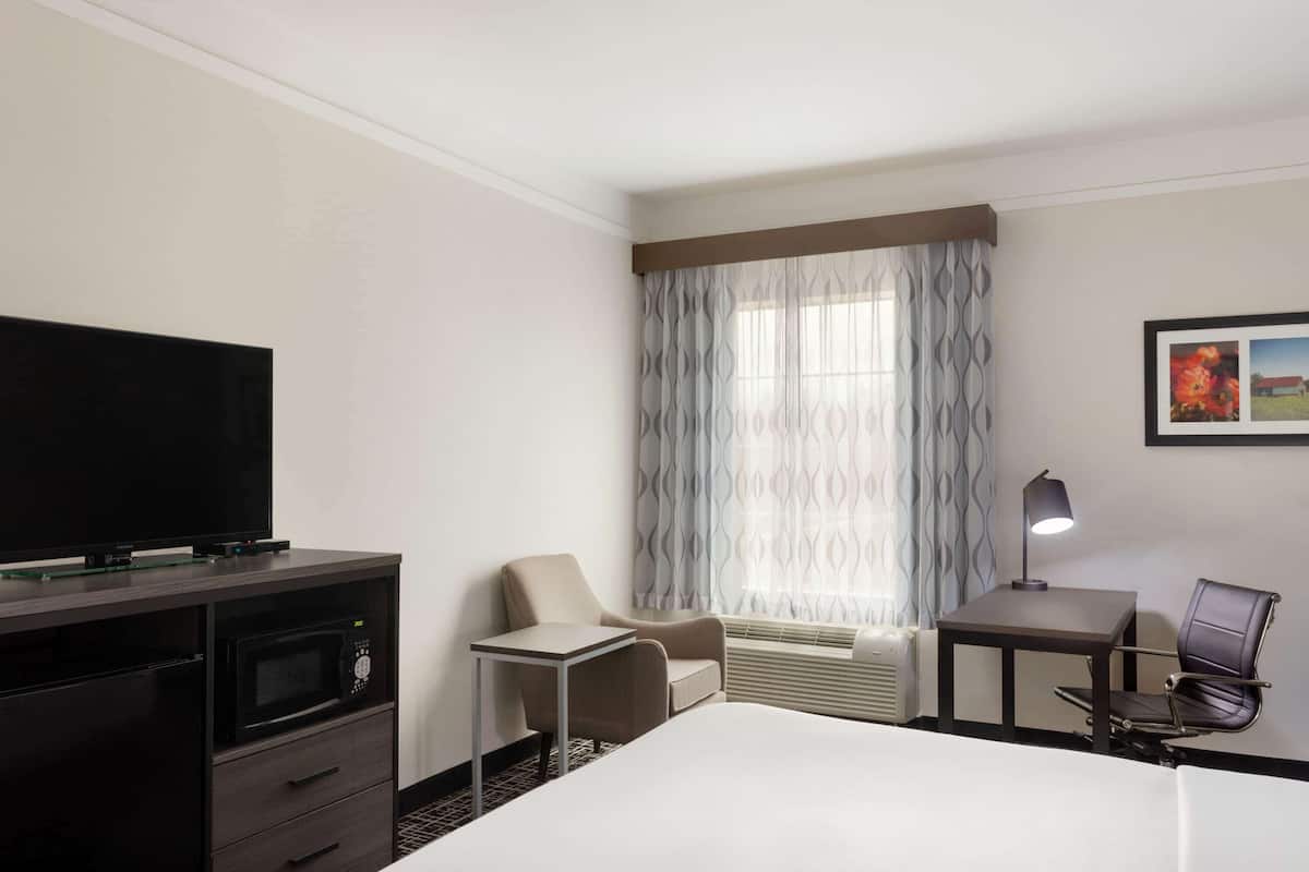 Room, 1 King Bed, Non Smoking