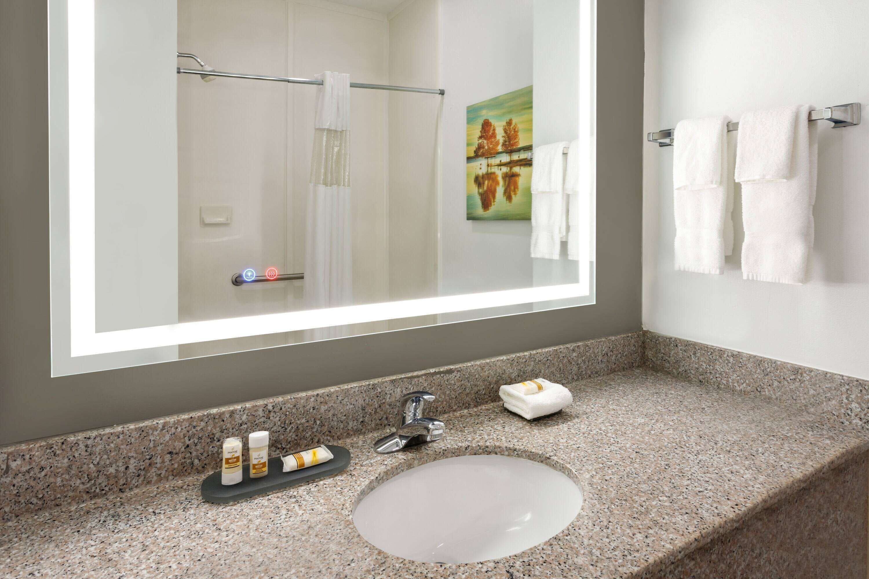 combined shower/bathtub, free toiletries, hair dryer, towels