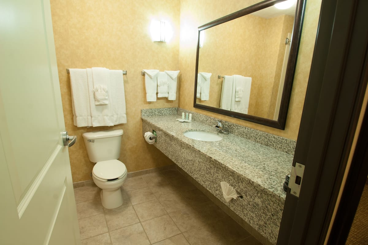 combined shower/bathtub, free toiletries, hair dryer, towels