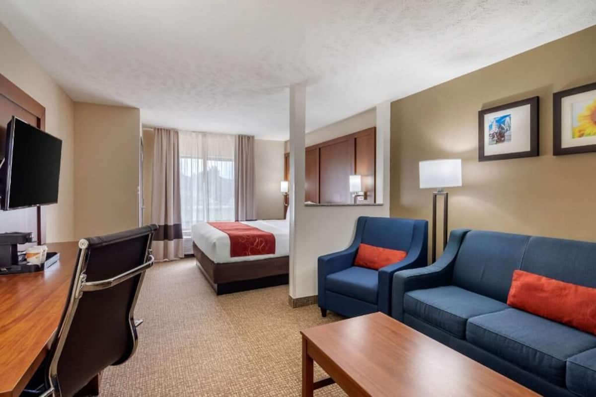 Een hotelkamer met een bed, een bureau met stoel, een bank, een televisie en een lamp.