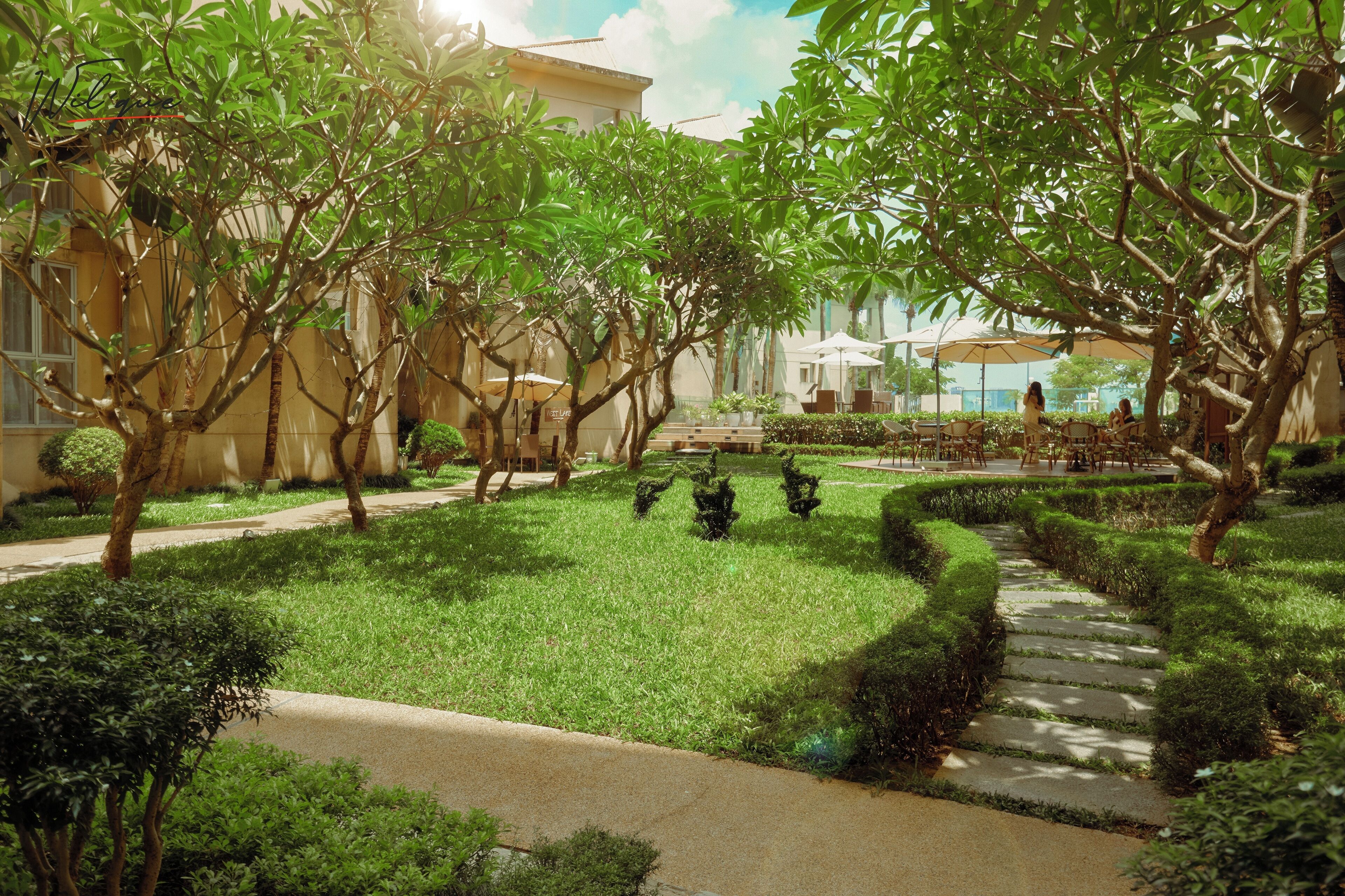A courtyard with a paved walkway, neatly trimmed hedges, and a variety of trees.