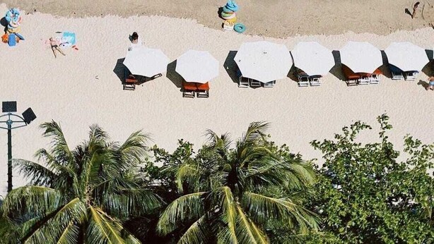 A beach with umbrellas and lounge chairs, palm trees, and the ocean. - Nha Trang Lodge Hotel (Nha Trang)