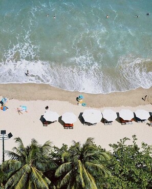 A beach with umbrellas and lounge chairs, palm trees, and the ocean.