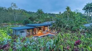 A modern house with a swimming pool surrounded by lush tropical vegetation.