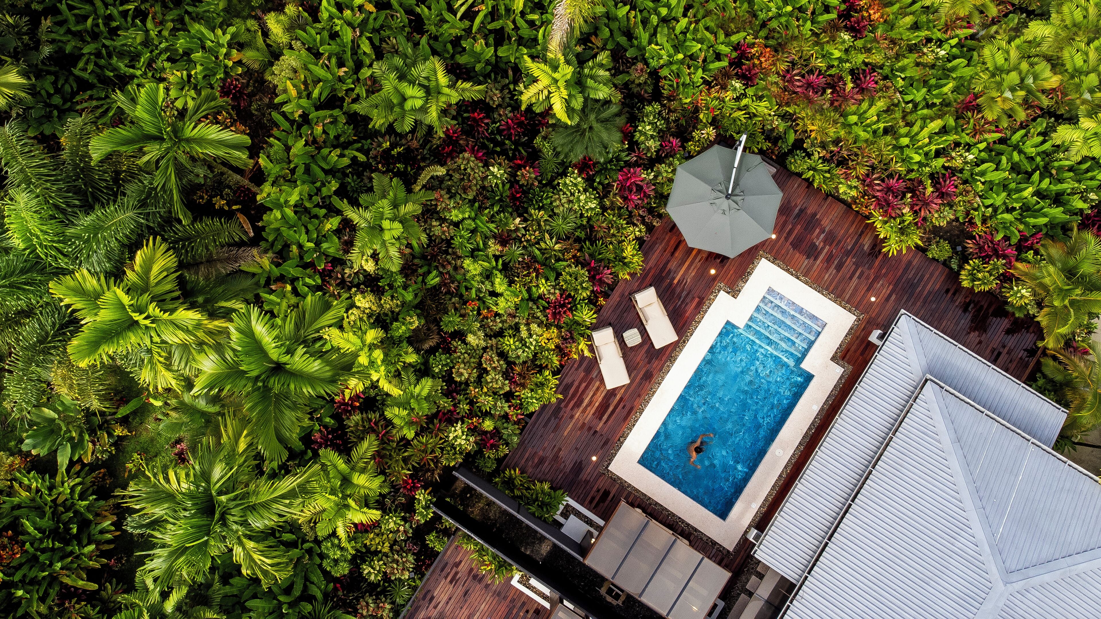 An aerial view of a rooftop pool area surrounded by lush greenery, with a swimming pool, lounge chairs, and a wooden deck.