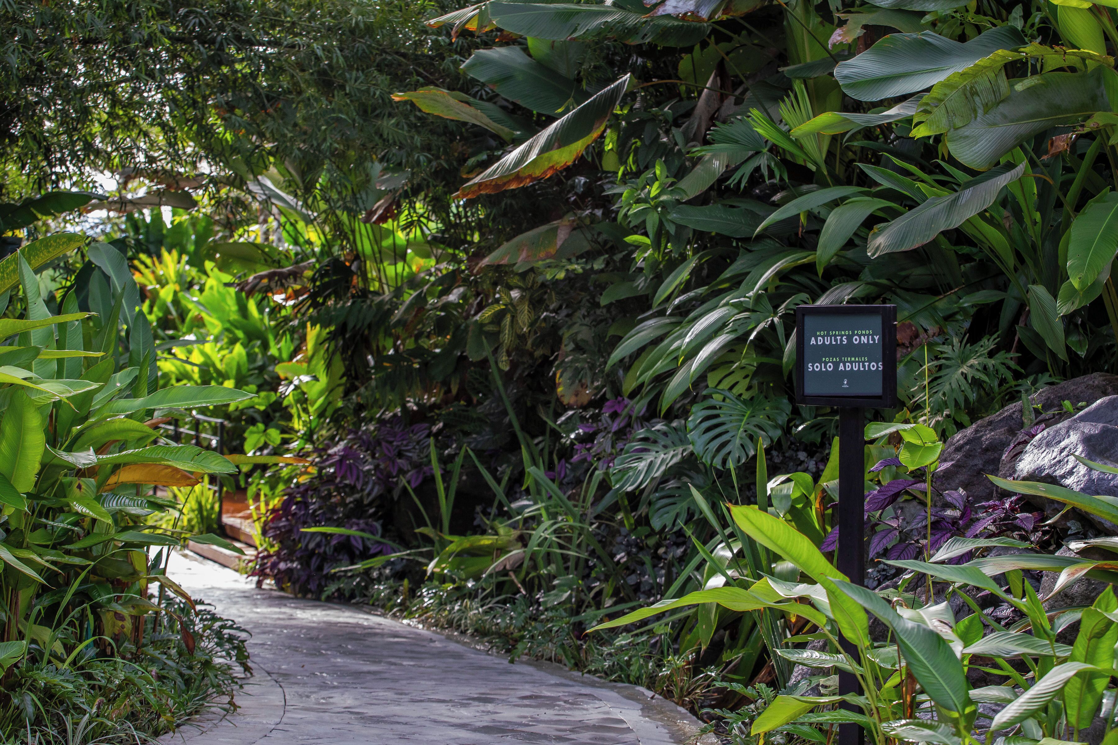 A pathway surrounded by lush tropical plants and a sign indicating the area is for adults only.