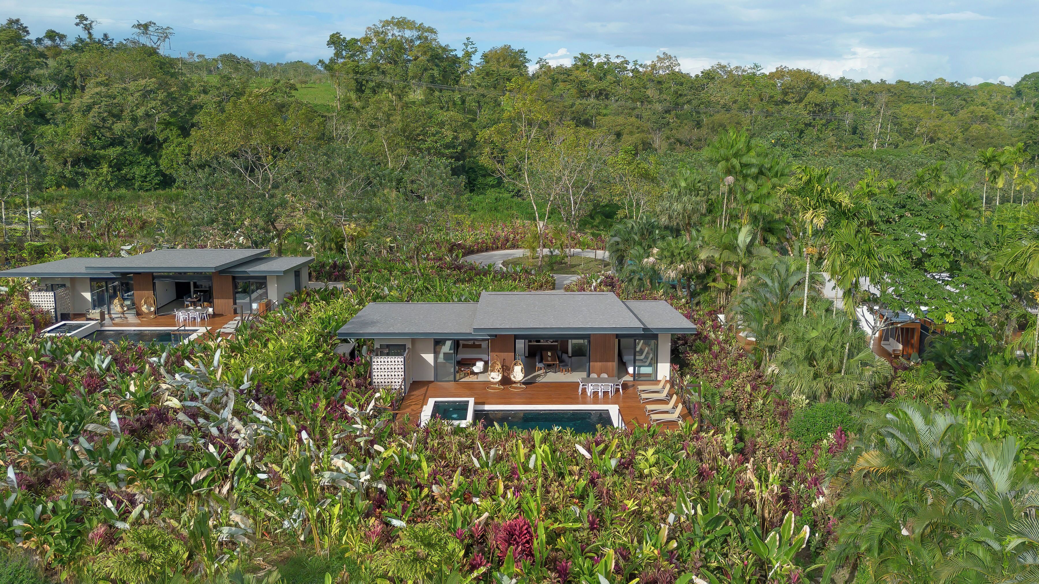 Una casa moderna con piscina, rodeada de vegetación exuberante.