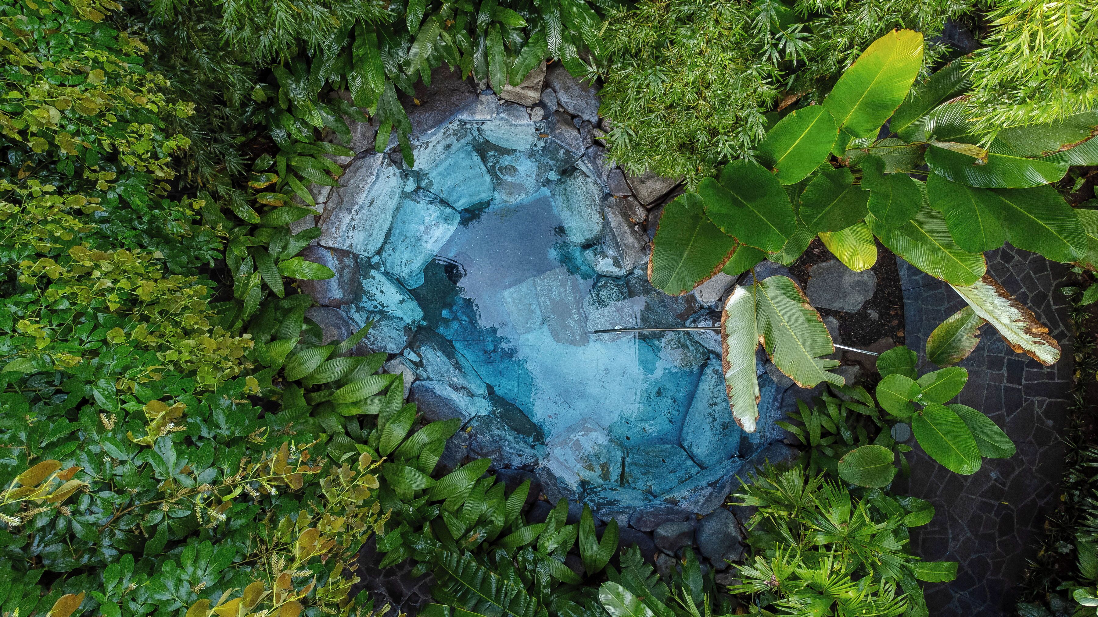 A circular pond surrounded by lush greenery and rocks.