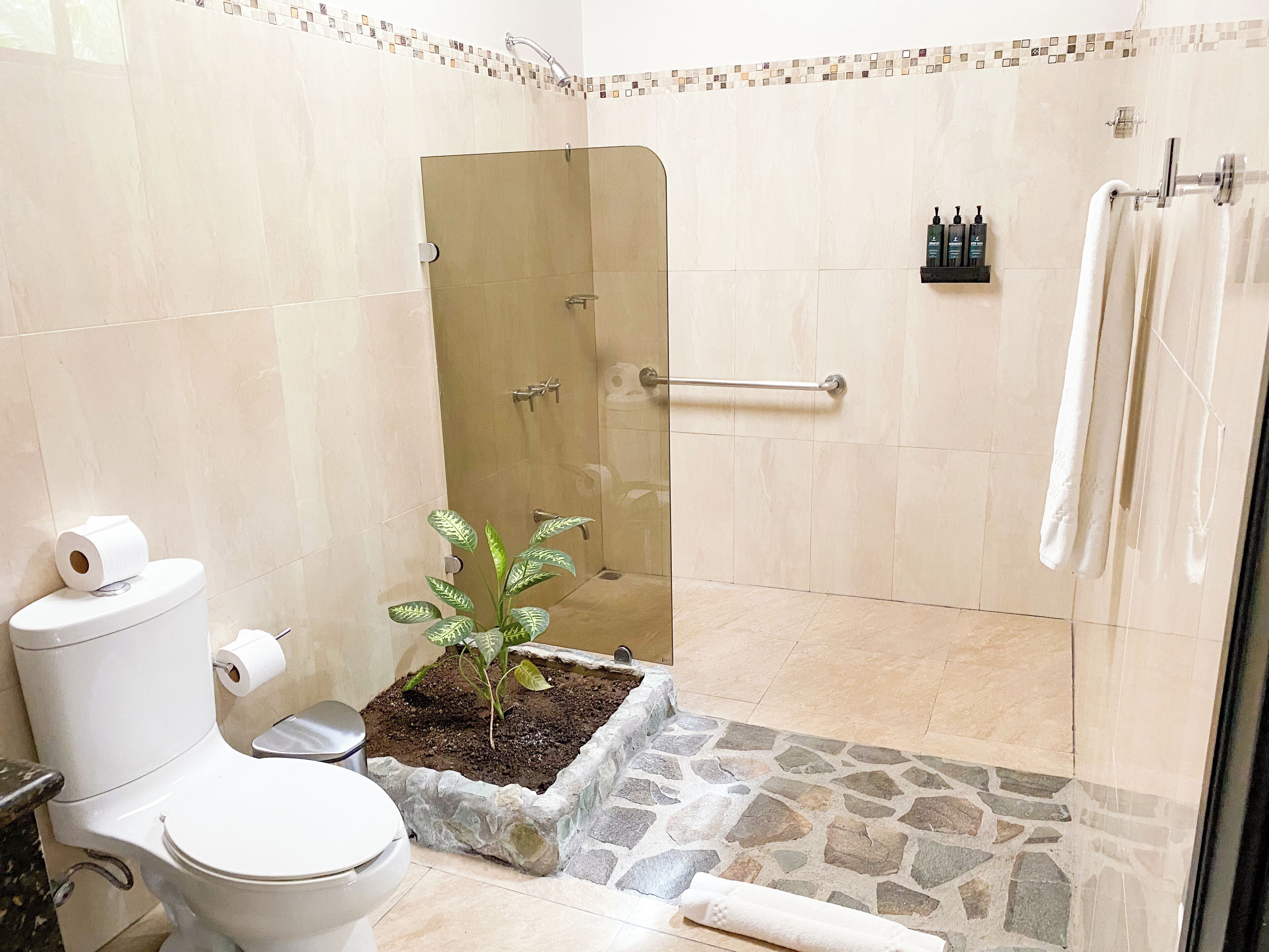 Une salle de bain avec des toilettes, une douche et une petite plante.