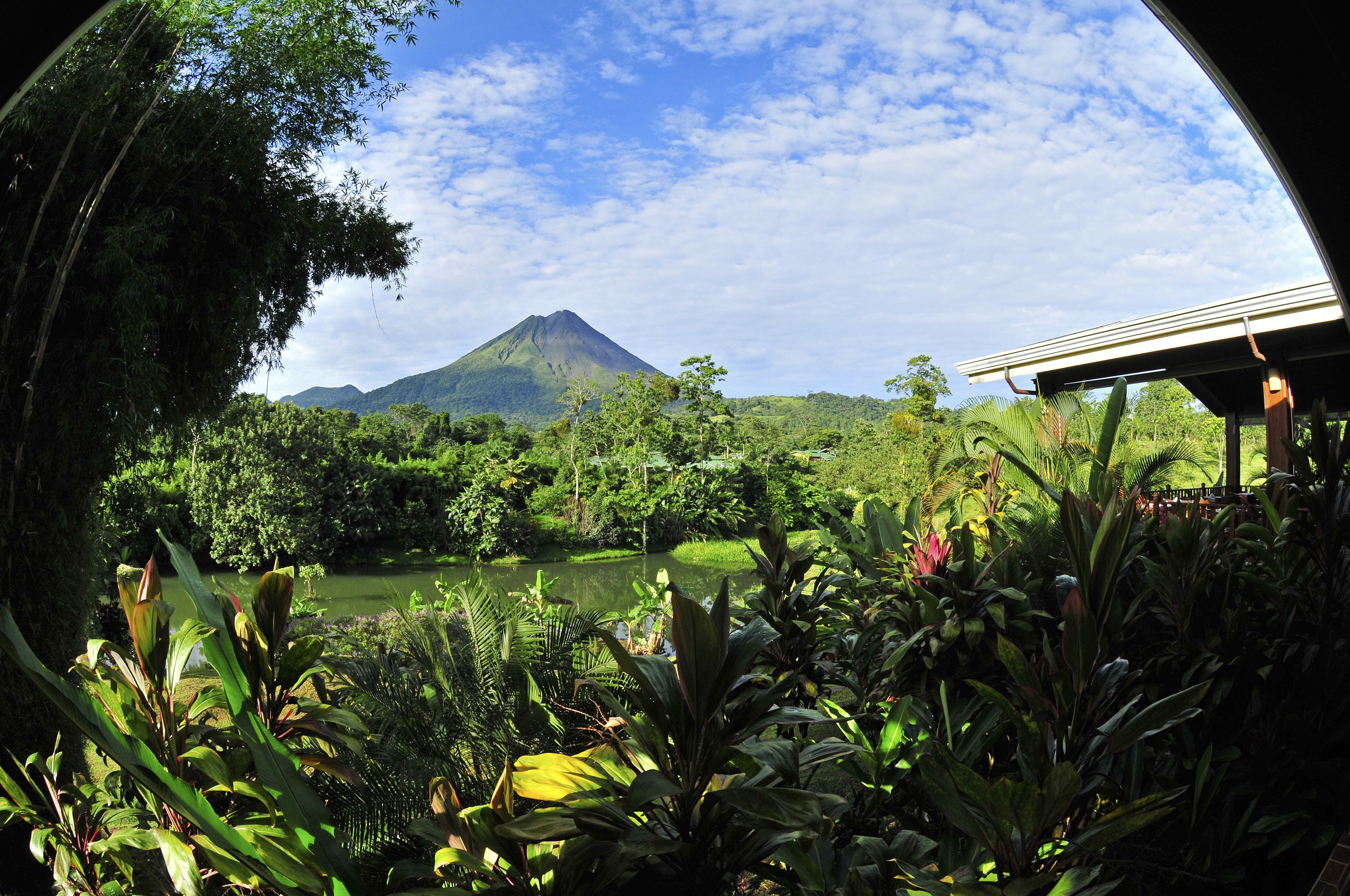 junior suite | property grounds