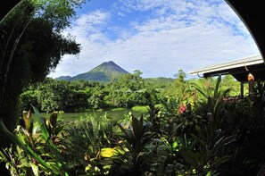 Junior Suite | Property grounds