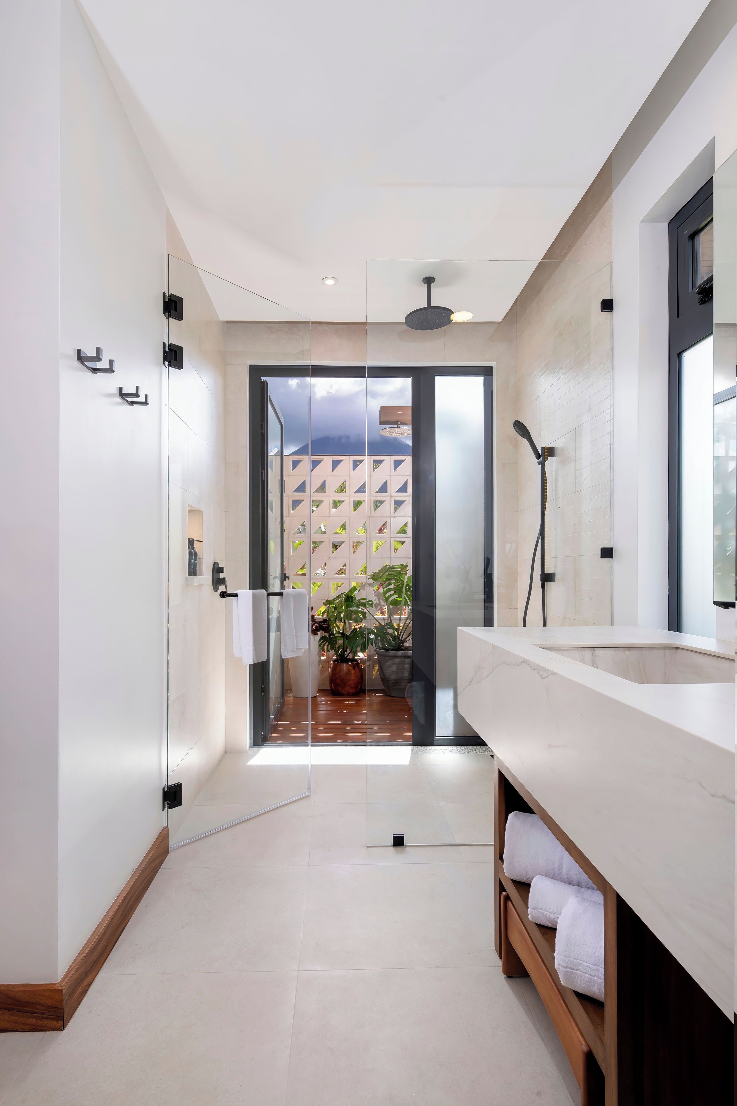A modern bathroom with a glass shower enclosure, a wooden vanity, and a potted plant.