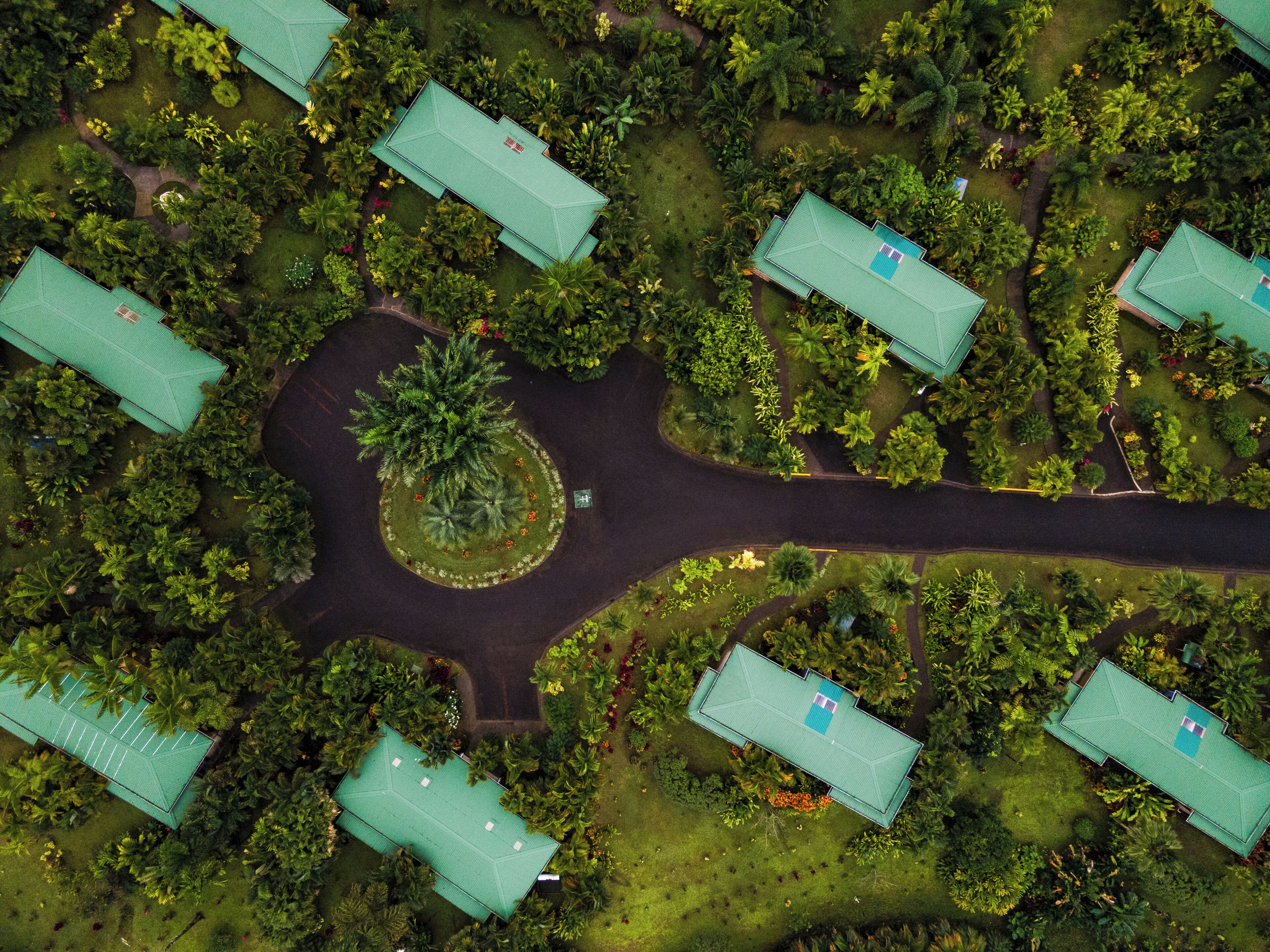 Vista aérea de una zona residencial con varias casas, cada una con techo verde, rodeadas de abundante vegetación y un jardín circular central.