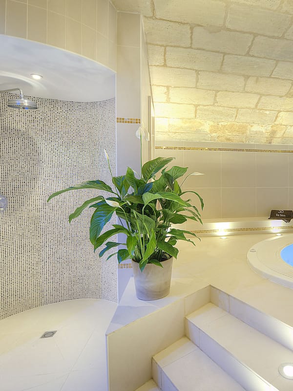 Couples treatment rooms, sauna, hot tub, steam room, body treatments