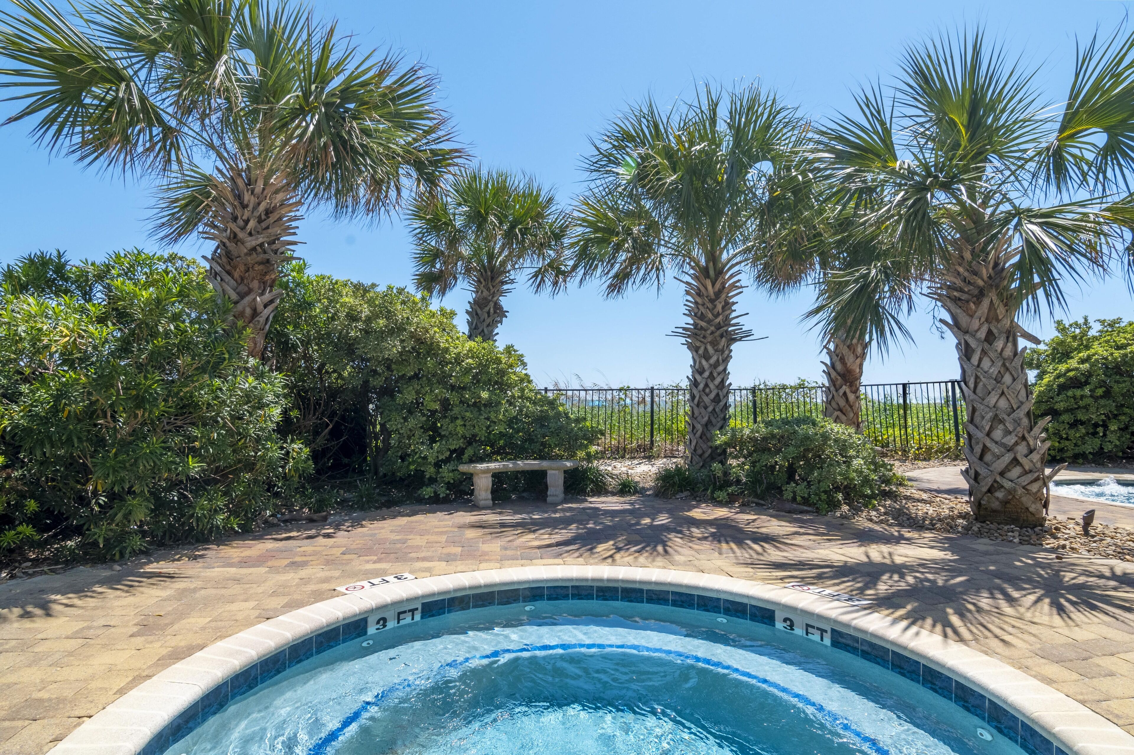 A swimming pool with a 3 ft depth marker, surrounded by palm trees and a stone bench.