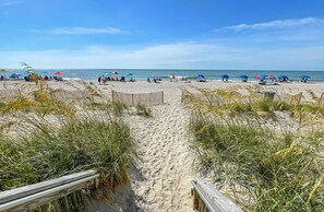 On the beach