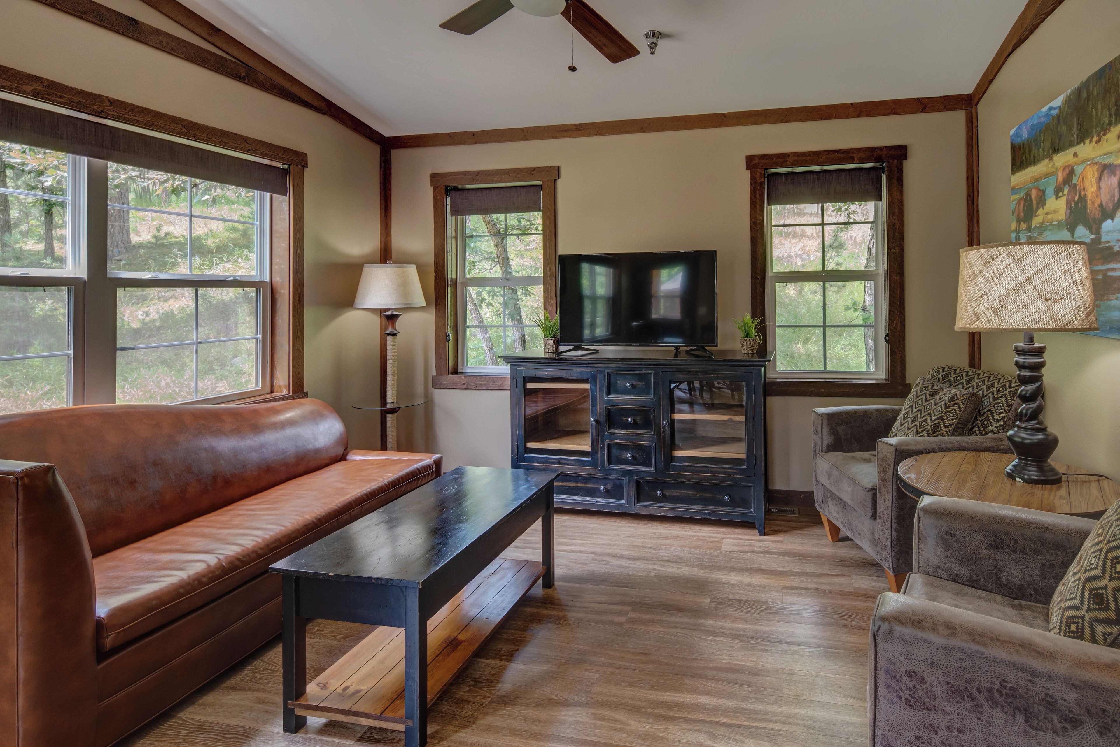 premium cabin, 2 bedrooms, kitchen, park view | living area | 32-inch flat-screen tv with premium tv channels, tv