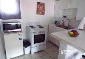 Private kitchen - Longhouse Lodge Motel (Watkins Glen)